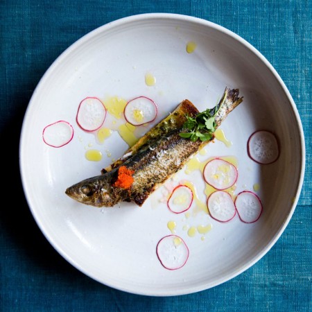 Fresh sardines on toast with spiced butter, salsa verde & agave at NYC Restaurant Find: Navy NYC | meltingbutter.com